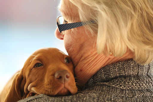 The Importance of Pet Therapy for Seniors