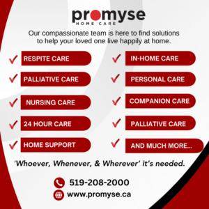 Infographic of the Services  Promyse Home Care offers.