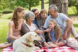 Interactions with family members and pets is a perfect way to combat isolation and loneliness for our senior loved ones.
