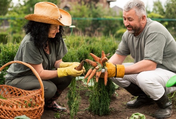 Community Gardening encourages physical and emotional benefits.